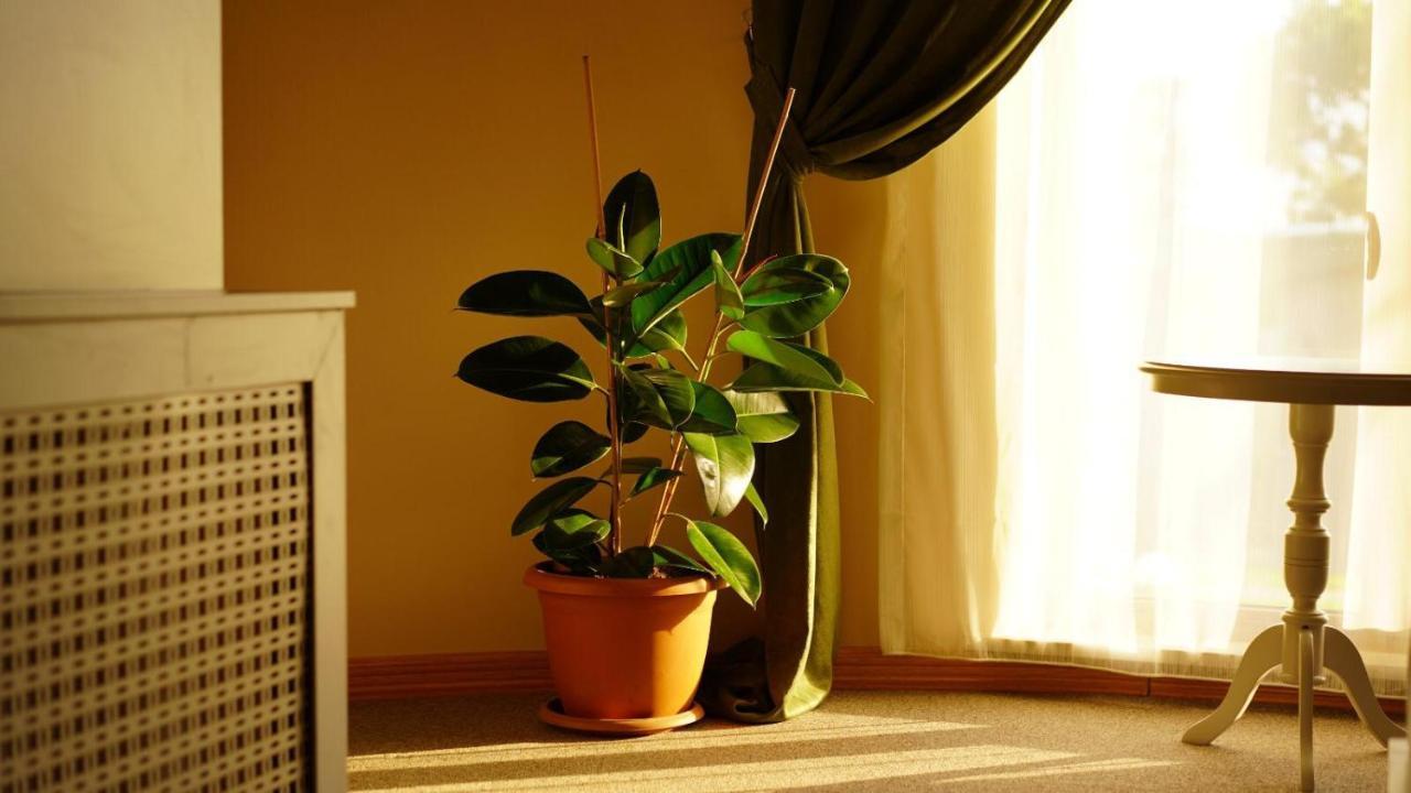 Trikos Boutique Hotel Истанбул Екстериор снимка
