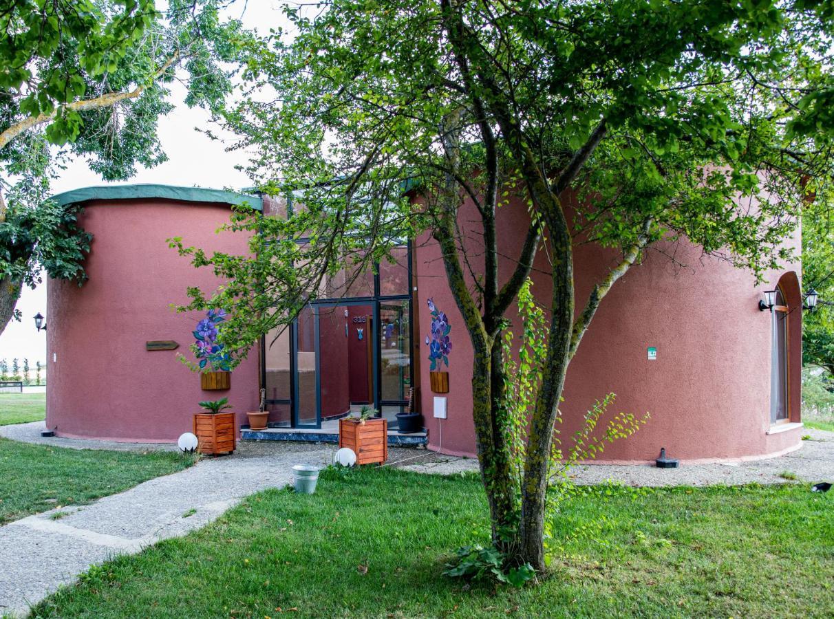 Trikos Boutique Hotel Истанбул Екстериор снимка